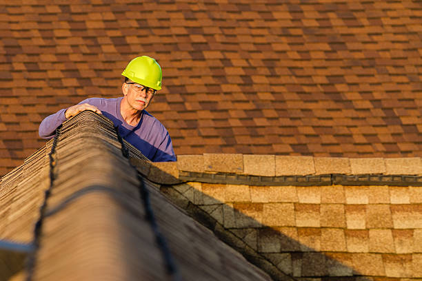 Best Roof Gutter Cleaning  in Lost Hills, CA